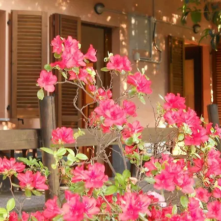 ベッド・アンド・ブレックファスト Il Cortile Malpensa