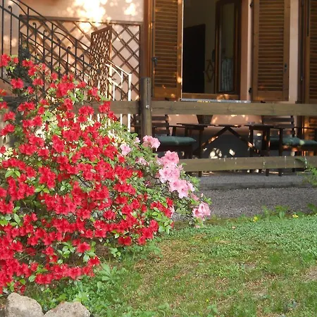 Il Cortile Malpensa Касорате-Семпьоне