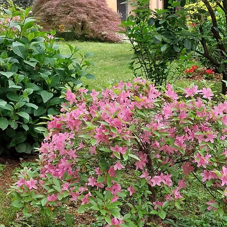 Il Cortile Malpensa Отель типа 