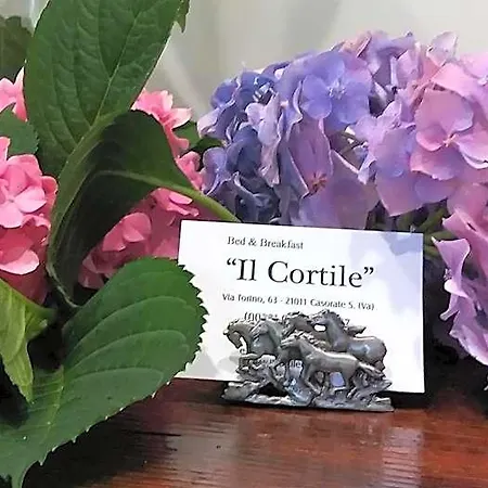 Bed and breakfast Il Cortile Malpensa Casorate Sempione