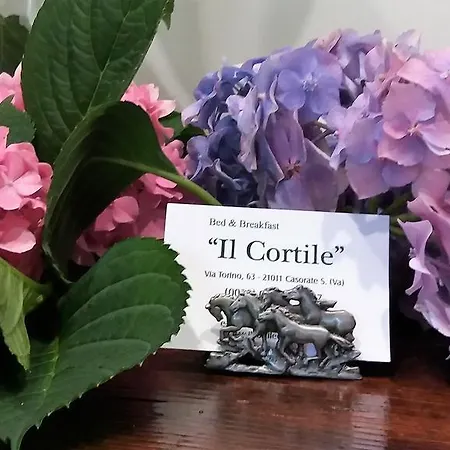 Il Cortile Malpensa ベッド・アンド・ブレックファスト 3*